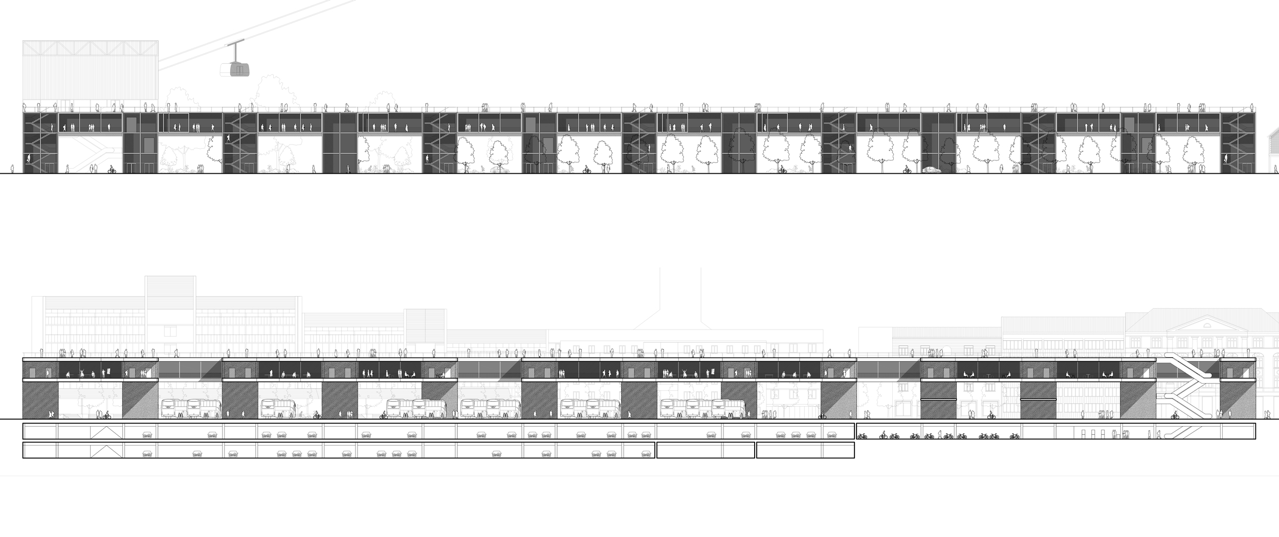 CEL_03b-2_web